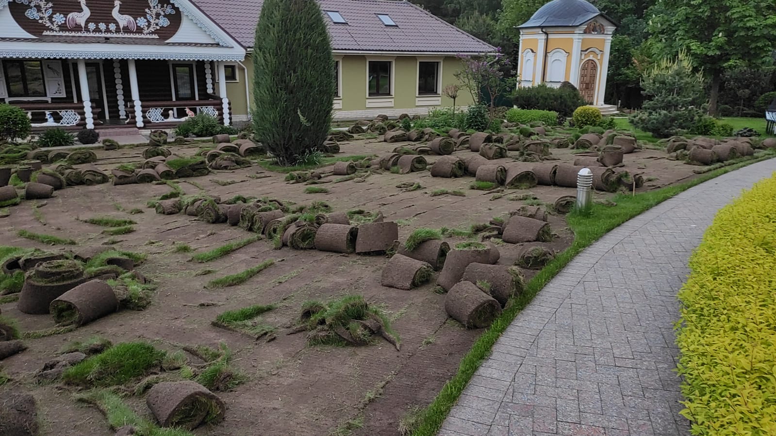 Полная замена газона у беседки