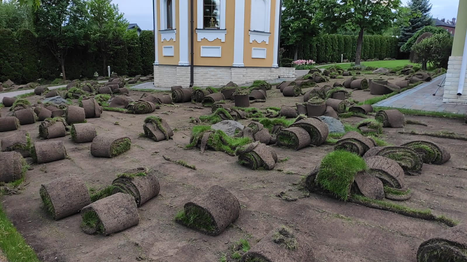 Полная замена газона у беседки